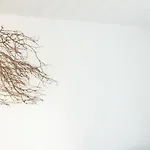 Alojamento de Acomodação e Pequeno-almoço Casa Napperon Abrantes