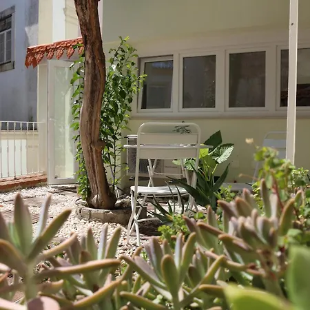 Casa Napperon 3* 阿布兰特什