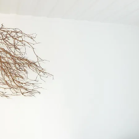 Bed & Breakfast Casa Napperon Abrantes